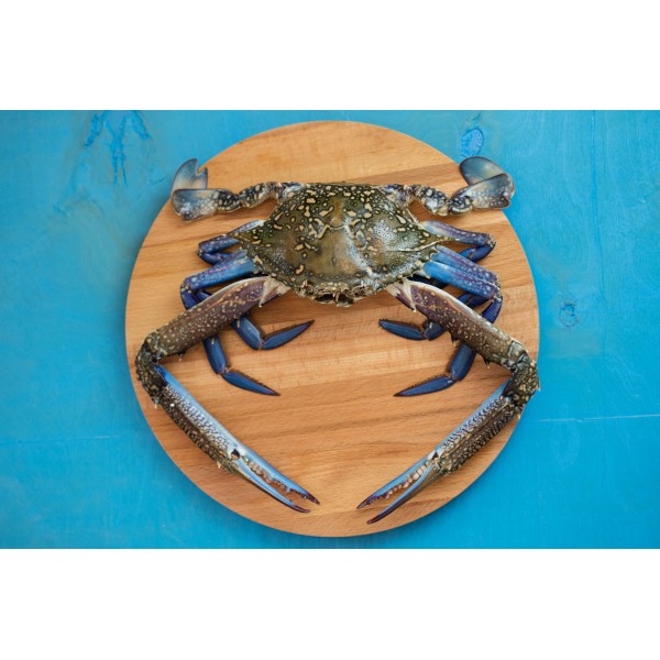 fresh-crab-in-dubai-sharjah-ajman-eastfishonline